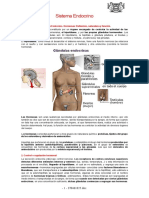 Sistema-Endocrino.doc