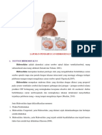 LAPORAN_PENDAHULUAN_HIDROSEFALUS.docx