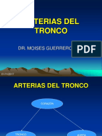 Arterias Pulmonar y Aorta 2