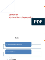 Sample of Mystery Shopping Reporting
