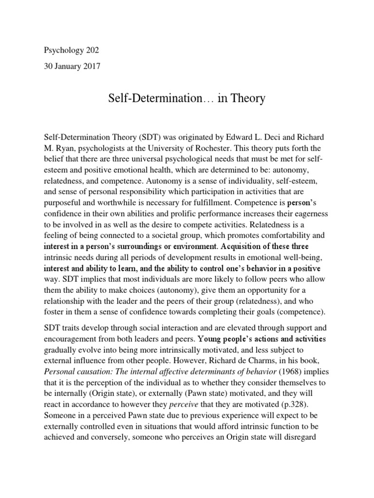 literature review on self determination theory