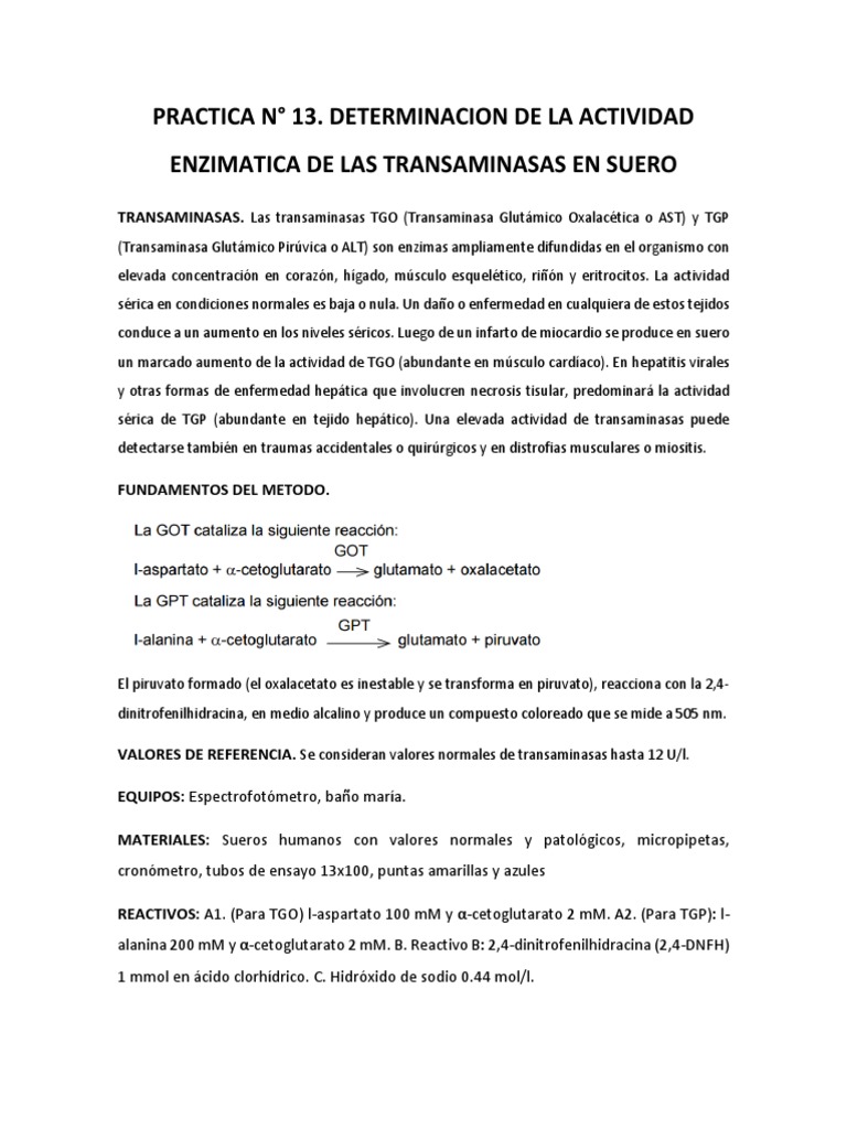Actividad Enzimática de Transaminasas | PDF | Transaminasa | Science