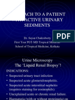 Approach To A Patient With Active Urinary Sediments