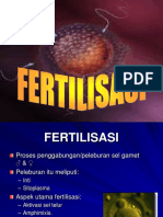 4 Fertilisasi
