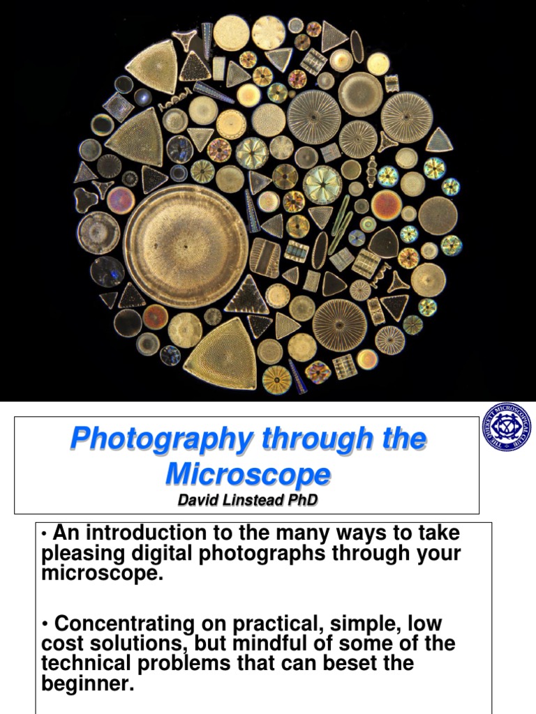 Microscopy Photography Guide | PDF | Digital Single Lens Reflex Camera ...