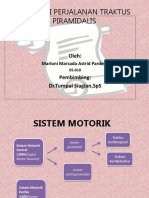 Documents - Tips Anatomi Perjalanan Traktus Piramidalis