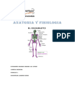 Anatomia y Fisiologia