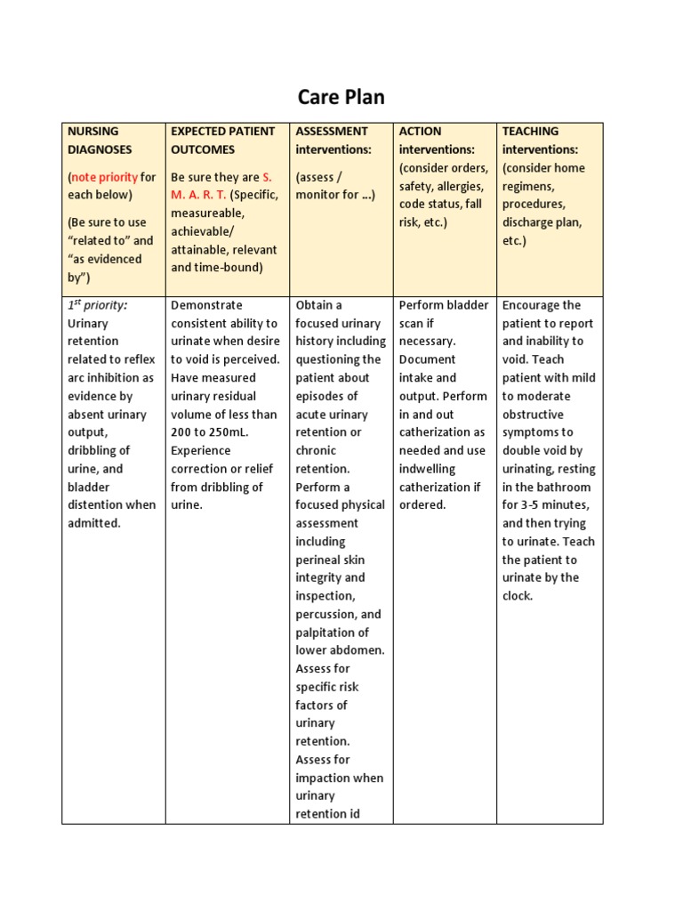 care-plan-urinary-incontinence-urination