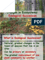 ecological succession