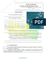 Condições-que-permitem-a-existência-de-Vida-7ºano.pdf