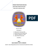 Laporan Praktikum Biologi Enzim Katalase