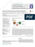 Carbohydrate Microalgae 2