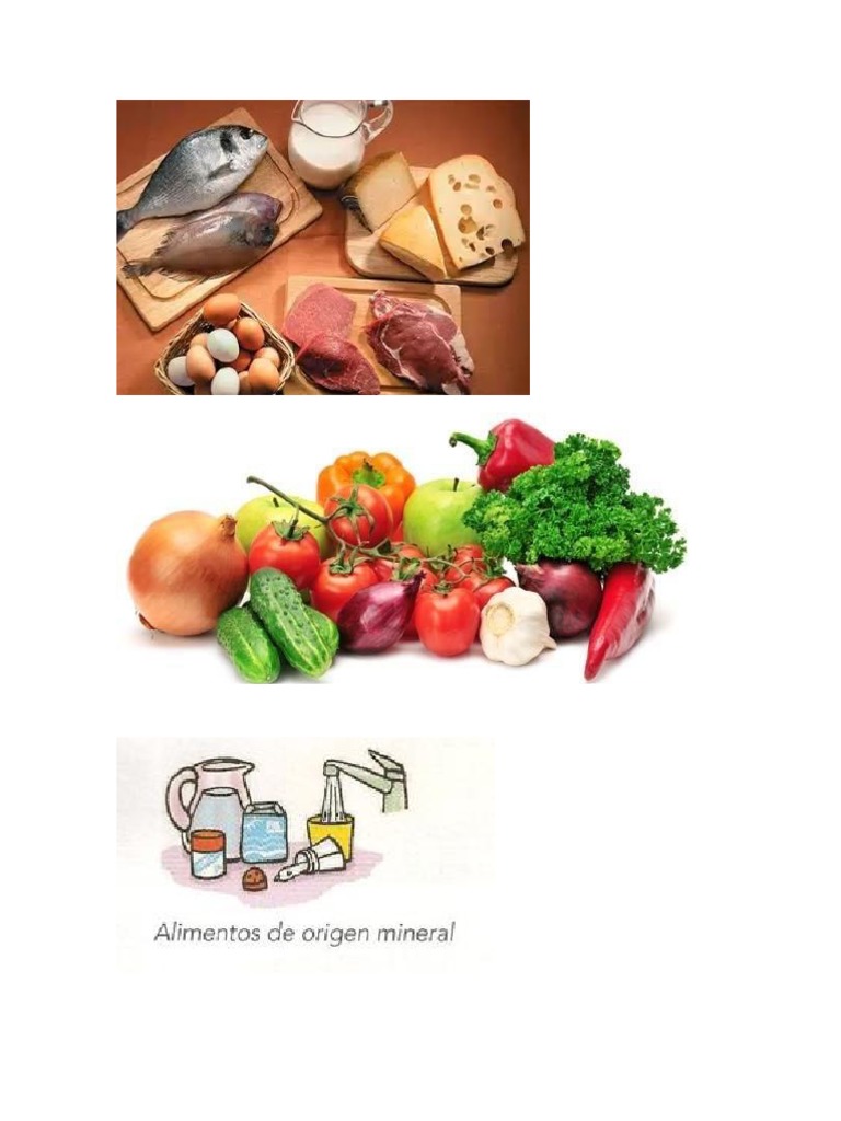 Alimentos de Origen Animal Vegetal y Mineral | PDF