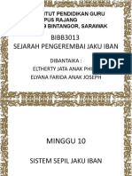 SEJARAH JAKU IBAN