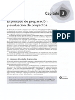 03 - El Proceso de Preparacion y Evaluacion de Proyectos