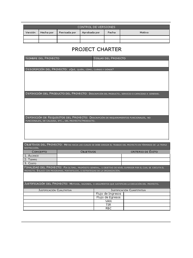 Formatos PMI.docx