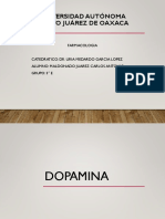 Efectos de la dopamina en el organismo humano