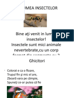 +N Lumea Insectelor