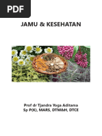 Yin Yang guruhining etakchi qoshiqchilari yalangoch.