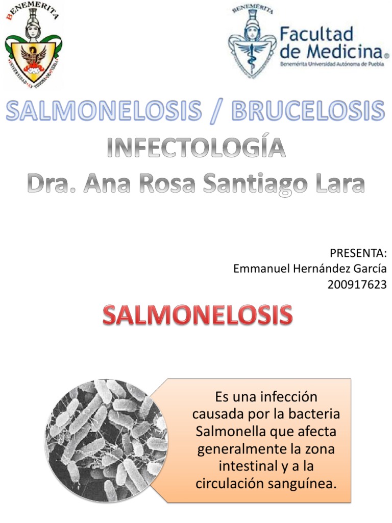 Salmonelosis Brucelosis 130628010845 Phpapp02
