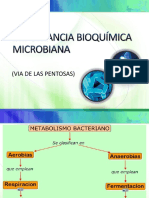 Importancia Bioquímica Microbiana