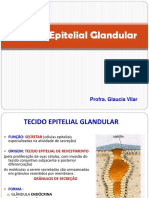 Tecido Epitelial Glandular