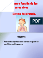Sistema Respiratorio 2017