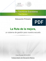GUIA CTE FASE INTENSIVA 30062014 PRIMARIA.pdf