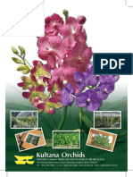 pricelist orchid 2013.pdf