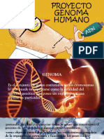 PROYECTO GENOMA HUMANO