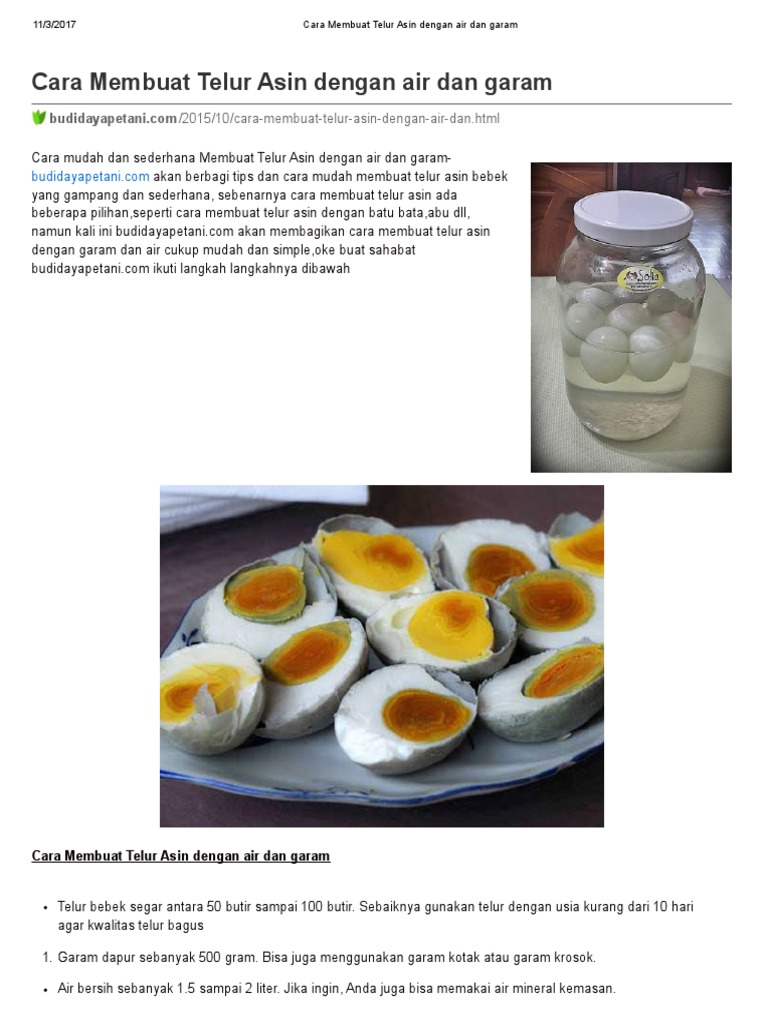 Cara Membuat Telur Asin | PDF
