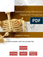 Substasi Tulang