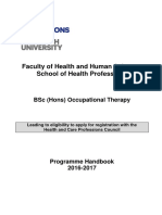 OT Programme Handbook 2016-17