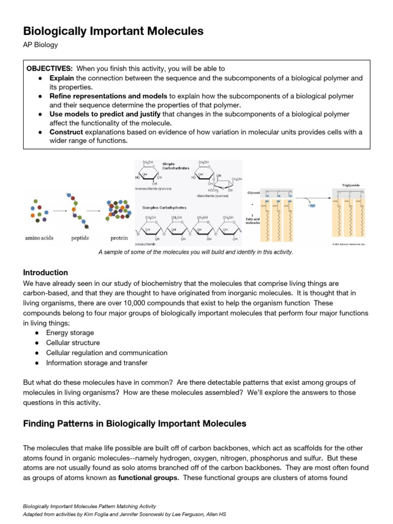Biologically Important Molecules Activity 2017 | PDF | Adenosine ...