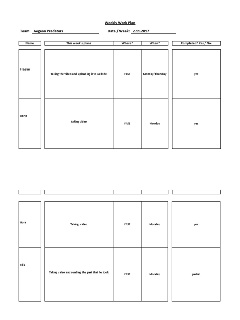 Weekly Work Plan - Kopya | PDF