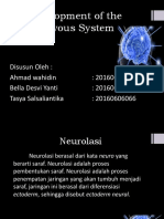 Neurosains