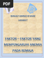 Booklet Faktor Risiko Anemia Pada Remaja