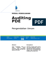 Modul EDP Audit (TM6)