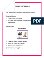 Animales Vertebrados