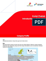 Company Profile PT - PHE-WMO