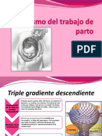 Trabajo de Parto (Induccion y Conduccion)