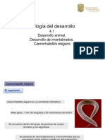4 - 1 - Caenorhabditis Elegans PDF