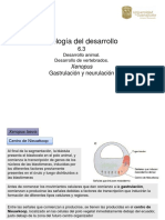 6 2 Xenopus PDF