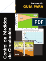 GUIA P12 Control DE Perdidas Perforacion Baja Cal PDF