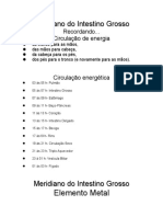 Meridiano+do+IG+e+E.doc