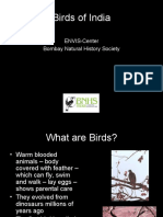 Birds of India: ENVIS-Center Bombay Natural History Society