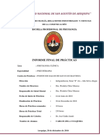 Psicoterapia Informe Final