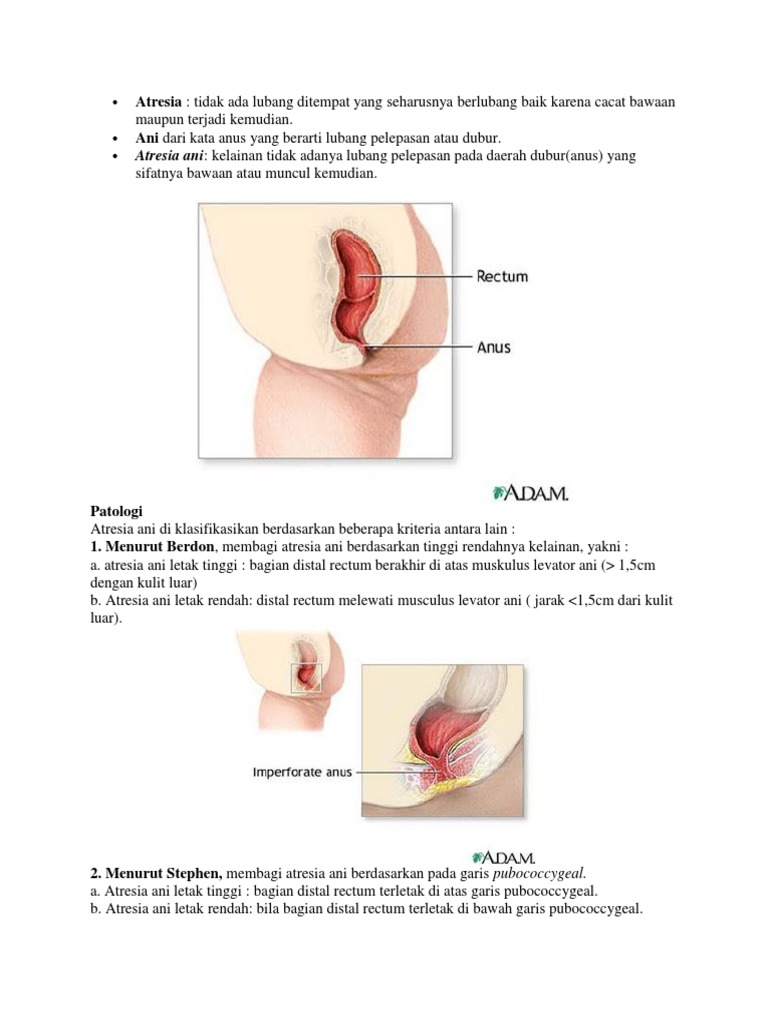 Afrikalik ayolning eng katta amchi