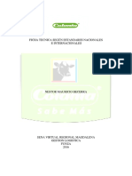 309999901-Ficha-Tecnica-Segun-Estandares-Nacionales.docx