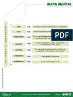 Mapa Mental Genetica Gratis